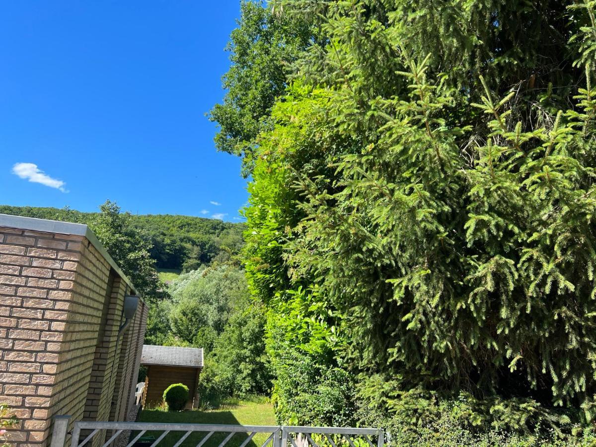 Gästehaus zum Buchenweg Hasenfeld Exterior foto